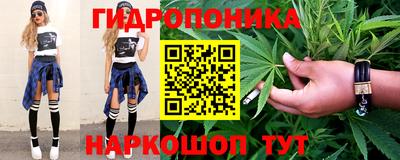 скорость Вышний Волочёк