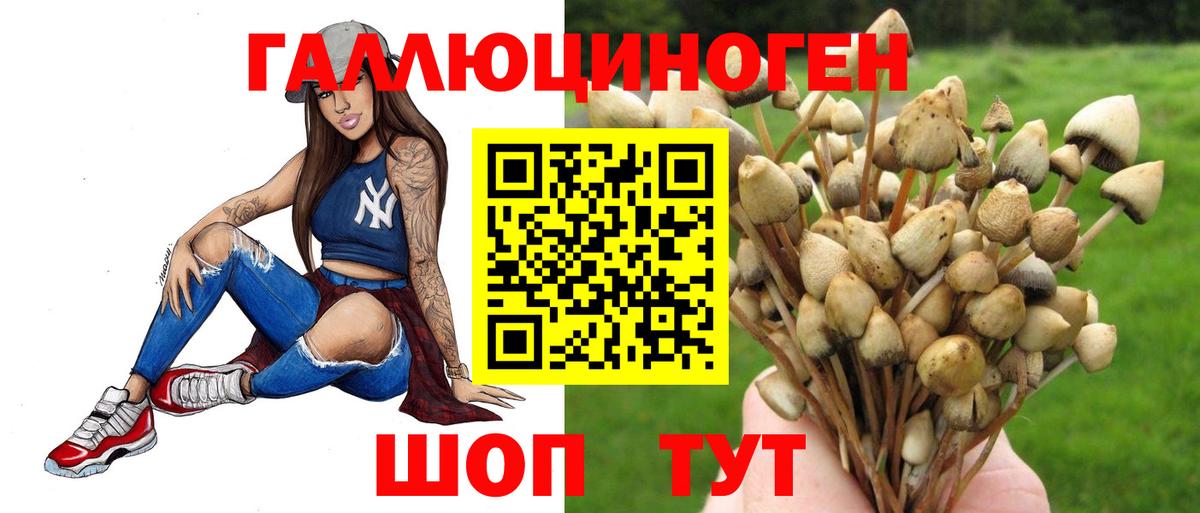 Псилоцибиновые грибы Magic Shrooms Выкса