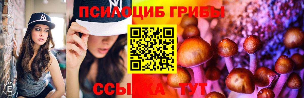 Псилоцибиновые грибы прущие грибы  Вход с VPN  Выкса 
