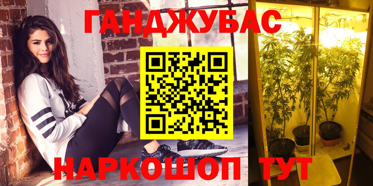 Каннабис Ganja  Марихуана план  Вход с VPN  Каннабис ГИДРОПОН  Выкса 